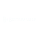 bigdreamslp.com